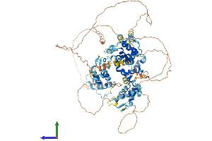 Protein Structure (PS) image for BEN Domain Containing 3 (BEND3) (AA 1-825) protein (His tag) (ABIN7564105)