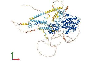 AlphaFold protein structure predicition of Human Recombinant EXOSC10 Protein, UniprotID Q01780