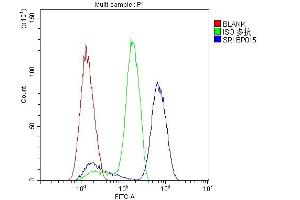 Flow Cytometry analysis of SiHa cells using anti-SRI antibody (ABIN6719388). (SRI 抗体)