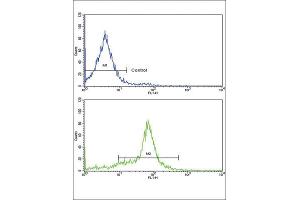 Flow Cytometry (FACS) image for anti-Growth Differentiation Factor 6 (GDF6) antibody (ABIN3003243) (GDF6 抗体)
