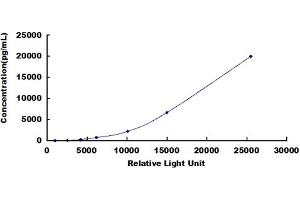 ELISA image for Tumor Necrosis Factor Receptor Superfamily, Member 11b (TNFRSF11B) CLIA Kit (ABIN491814)