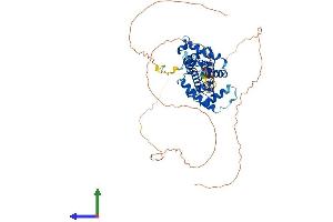 Protein Structure (PS) image for Cyclin L1 (CCNL1) (AA 1-526) protein (His tag) (ABIN7553263)
