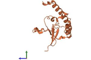 AlphaFold protein structure predicition of Human Recombinant ADARB2-AS1 Protein, UniprotID A8MUL3