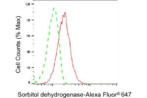 anti-Sorbitol Dehydrogenase (SORD) antibody