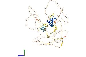 Protein Structure (PS) image for Chromobox Homolog 4 (CBX4) (AA 1-560) protein (His tag) (ABIN7553186)