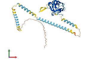 Protein Structure (PS) image for Sad1 and UNC84 Domain Containing 3 (SUN3) (AA 1-357) protein (His tag) (ABIN7546457)