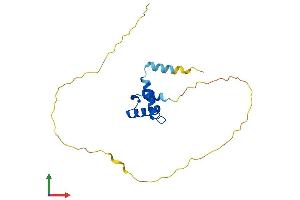 AlphaFold protein structure predicition of Human Recombinant SCAND1 Protein, UniprotID P57086