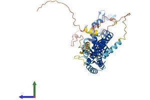 AlphaFold protein structure predicition of Mouse Recombinant Chmp7 Protein, UniprotID Q8R1T1