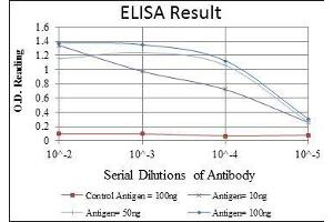 Red: Control Antigen (100 ng), Purple: Antigen (10 ng), Green: Antigen (50 ng), Blue: Antigen (100 ng), (KIF22 抗体)