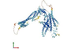 Protein Structure (PS) image for ATPase, H+ Transporting, Lysosomal V0 Subunit A2 (ATP6V0A2) (AA 1-856) protein (His tag) (ABIN7555986)