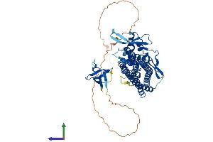 AlphaFold protein structure predicition of Human Recombinant SNX33 Protein, UniprotID Q8WV41