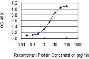 Detection limit for recombinant GST tagged PRH2 is 0. (PROC 抗体  (AA 1-166))