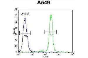 CEP70 Antibody (Center) flow cytometric analysis of A549 cells (right histogram) compared to a negative control cell (left histogram). (CEP70 抗体  (Middle Region))