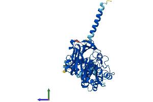 Protein Structure (PS) image for Fukutin (FKTN) (AA 1-461) protein (His tag) (ABIN7559772)