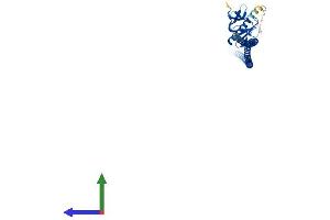 Protein Structure (PS) image for Homer Homolog 2 (HOMER2) (AA 1-354) protein (His tag) (ABIN7561738)