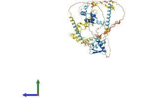 AlphaFold protein structure predicition of Mouse Recombinant Rec8 Protein, UniprotID Q8C5S7