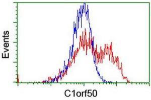 Image no. 2 for anti-Chromosome 1 Open Reading Frame 50 (C1ORF50) antibody (ABIN1497033) (C1ORF50 抗体)