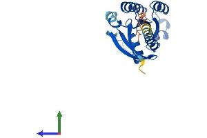 Protein Structure (PS) image for RAB24, Member RAS Oncogene Family (RAB24) (AA 1-203) protein (His tag) (ABIN7551204)