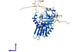 Protein Structure (PS) image for Ras-Related GTP Binding B (RRAGB) (AA 1-374) protein (His tag) (ABIN7551561)