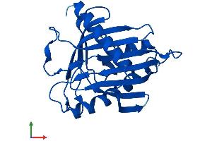 Protein Structure (PS) image for StAR-Related Lipid Transfer (START) Domain Containing 5 (STARD5) (AA 1-213) protein (His tag) (ABIN7546419)