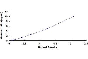 Typical standard curve (IRF5 ELISA 试剂盒)