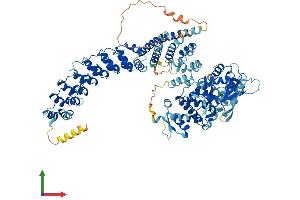 Protein Structure (PS) image for HECT Domain and Ankyrin Repeat Containing, E3 Ubiquitin Protein Ligase 1 (HACE1) (AA 1-909) protein (His tag) (ABIN7563689)