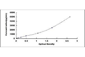 Typical standard curve (Periostin ELISA 试剂盒)