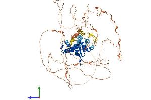 Protein Structure (PS) image for Melanoma Antigen Family D, 1 (MAGED1) (AA 1-778) protein (His tag) (ABIN7554522)