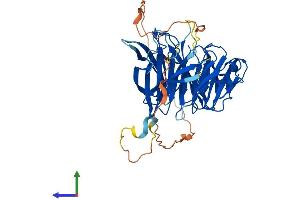 Protein Structure (PS) image for Diphthamide Biosynthesis 7 (DPH7) (AA 1-452) protein (His tag) (ABIN7547158)