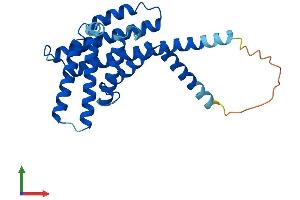 Protein Structure (PS) image for Peroxisomal Biogenesis Factor 11 beta (PEX11B) (AA 1-259) protein (His tag) (ABIN7556402)
