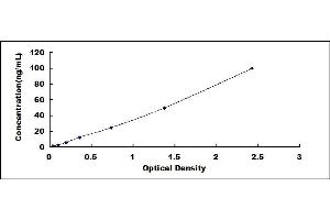 Typical standard curve (PARK7/DJ1 ELISA 试剂盒)