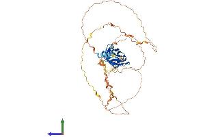 AlphaFold protein structure predicition of Mouse Recombinant Rtp3 Protein, UniprotID Q5QGU6
