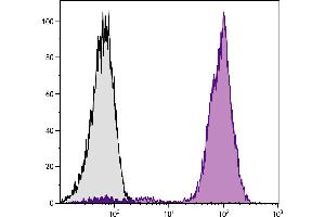 Chicken peripheral blood lymphocytes were stained with Mouse Anti-Chicken CD44-PE. (CD44 抗体  (PE))