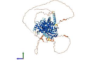 Protein Structure (PS) image for Protein Tyrosine Phosphatase Domain Containing 1 (PTPDC1) (AA 1-747) protein (His tag) (ABIN7557975)