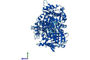 Protein Structure (PS) image for Aconitase 1 (ACO1) (AA 1-889) protein (His tag) (ABIN7551945)