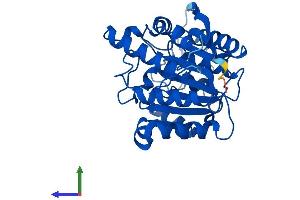 Protein Structure (PS) image for Arginase, Liver (ARG1) (AA 1-322) protein (His tag) (ABIN7552202)