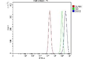 Flow Cytometry analysis of CACO-2 cells using anti-SGO2 antibody (ABIN7602258). (SGOL2 抗体  (AA 660-1011))