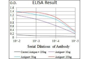 ELISA image for anti-Matrix Metalloproteinase 2 (MMP2) (AA 242-396) antibody (ABIN1844833) (MMP2 抗体  (AA 242-396))