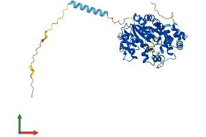 Protein Structure (PS) image for Carbohydrate (N-Acetylglucosamine 6-O) Sulfotransferase 5 (CHST5) (AA 1-411) protein (His tag) (ABIN7553469)