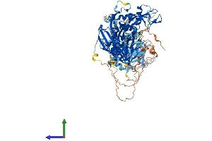 Protein Structure (PS) image for Ubiquitin Specific Peptidase 11 (USP11) (AA 1-963) protein (His tag) (ABIN7555937)