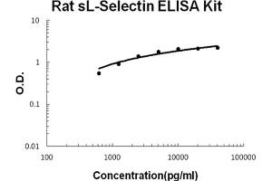 Rat sL-Selectin Accusignal ELISA Kit Rat sL-Selectin AccuSignal ELISA Kit standard curve. (sL-Selectin ELISA 试剂盒)