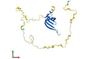 Protein Structure (PS) image for Small Nuclear Ribonucleoprotein Polypeptides B and B1 (SNRPB) (AA 1-240) protein (His tag) (ABIN7551569)