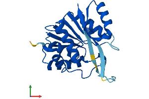 Protein Structure (PS) image for Methyltransferase Like 5 (METTL5) (AA 1-209) protein (His tag) (ABIN7559465)