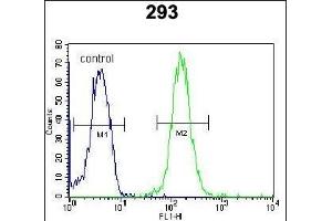 ZBTB10 Antibody (C-term) (ABIN654530 and ABIN2844249) flow cytometric analysis of 293 cells (right histogram) compared to a negative control cell (left histogram). (ZBTB10 抗体  (C-Term))