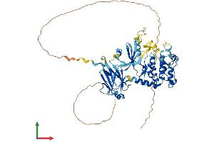Protein Structure (PS) image for Checkpoint Kinase 2 (CHEK2) (AA 1-543) protein (His tag) (ABIN7553249)