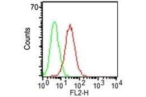Flow Cytometry of KG-1 cells using CD34 Monoclonal Antibody (ICO-115) (red) and isotype control (green). (CD34 抗体)
