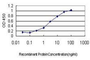 Detection limit for recombinant GST tagged IFI16 is approximately 0. (IFI16 抗体  (AA 630-729))