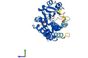 Protein Structure (PS) image for Sulfotransferase Family 4A, Member 1 (SULT4A1) (AA 1-284) protein (His tag) (ABIN7546366)