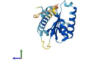 Protein Structure (PS) image for Growth Arrest and DNA-Damage-Inducible, alpha (GADD45A) (AA 1-165) protein (His tag) (ABIN7563308)