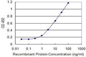 Detection limit for recombinant GST tagged ANGPTL3 is 0. (ANGPTL3 抗体  (AA 361-460))